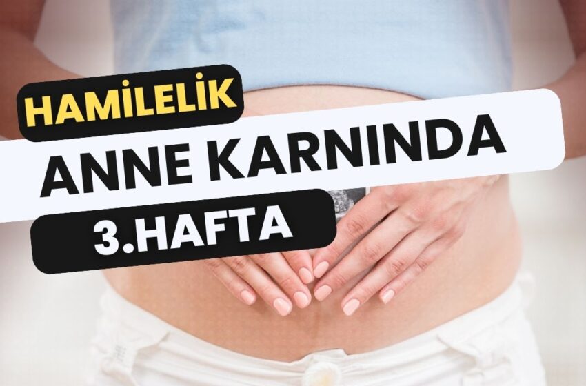  3 Haftalık Hamilelik: Belirtiler, Gelişim ve Dikkat Edilmesi Gerekenler