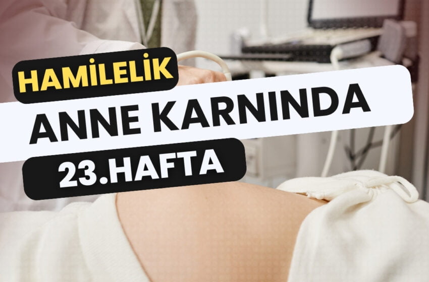  23. Hafta Hamilelik: Bebeğin Gelişimi ve Annenin Değişimleri