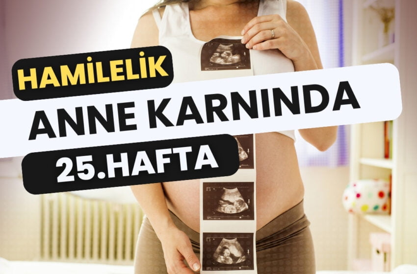  25. Hafta Hamilelik: Bebeğin Gelişimi ve Annenin Değişimleri